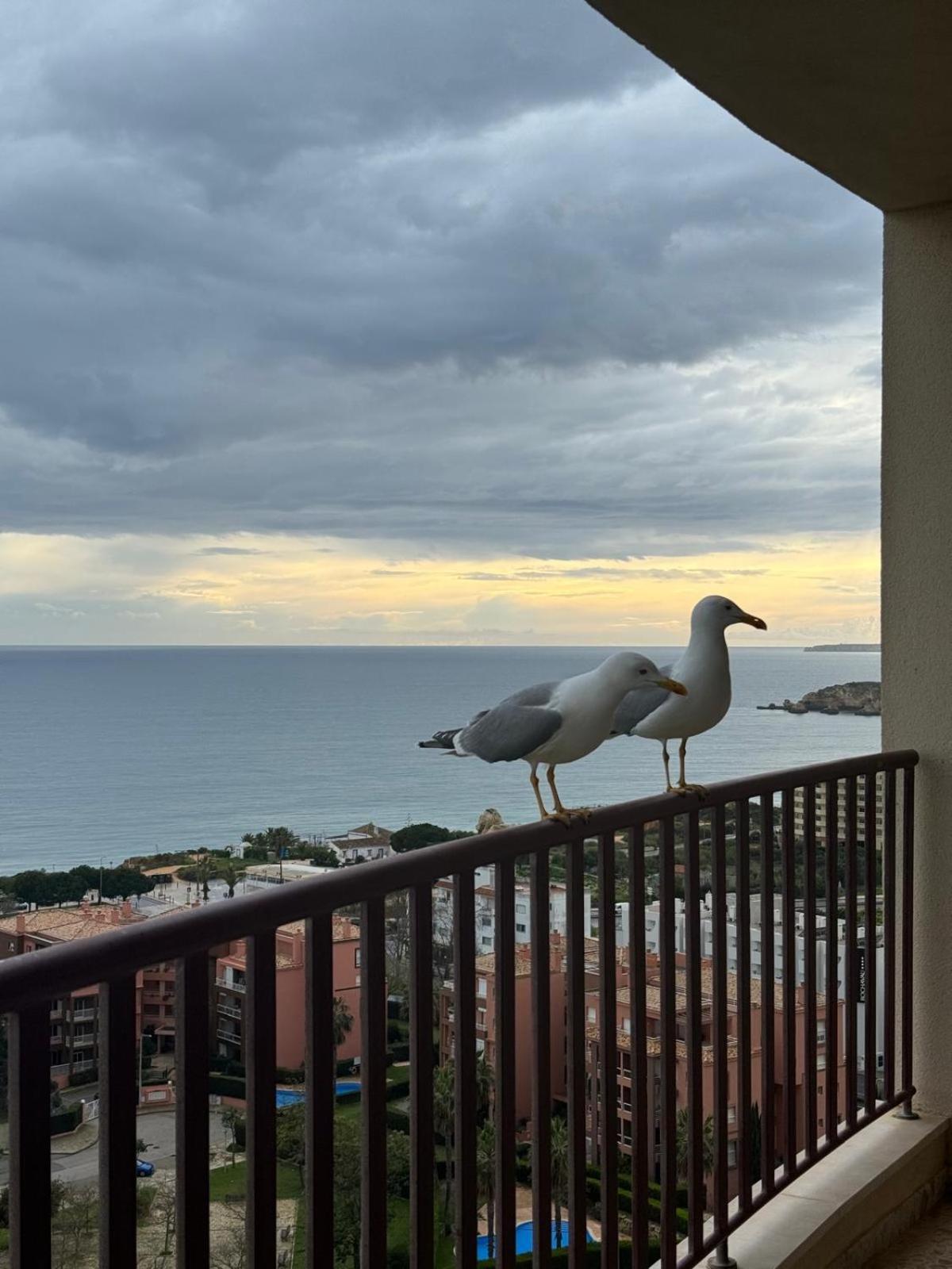 Sofiamarholidays - Casa Praia Mar Portimão Eksteriør billede